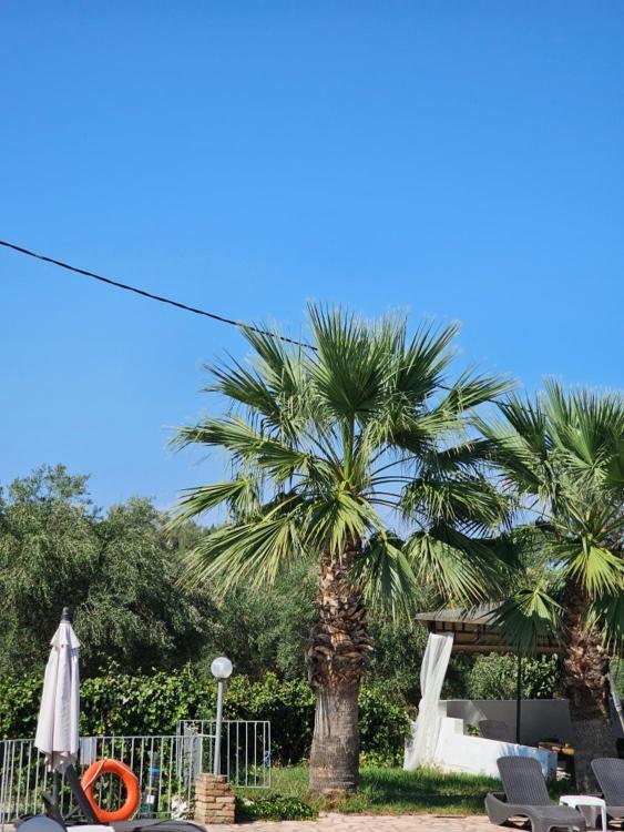 Palmyra Studios Κάβος Εξωτερικό φωτογραφία