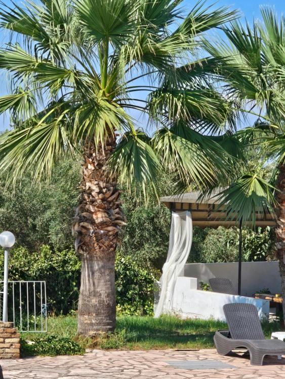 Palmyra Studios Κάβος Εξωτερικό φωτογραφία